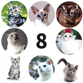 50pcs creative animals Cat stickers 1inch labels reward sticker for school teacher kids smiley stationery sticker