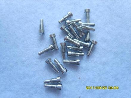 50pcs fluit met top schroef