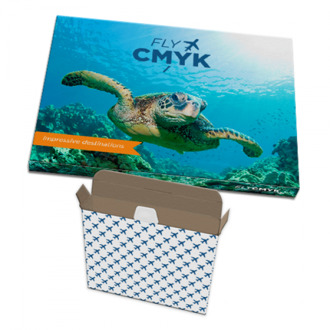 50x full color bedrukte brievenbusdoosjes (50 st) drukken