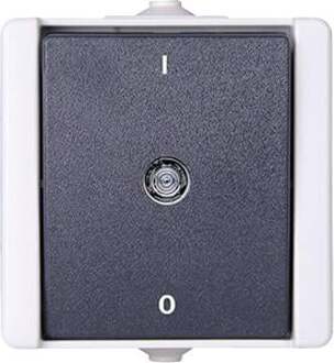 540256000 proAQA Compleet Uitschakelaar spatwaterdicht Grijs