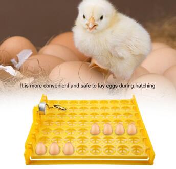 56 eieren Mini Incubator Hatcher Automatische Ei Draaien Tray Tool met Motor Handig en Veilig Ei Incubator 110V