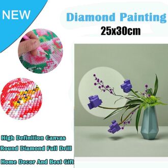 5D Borduurwerk Schilderijen Strass Geplakt Diy Diamant Schilderij 25X30CM @ Xp40