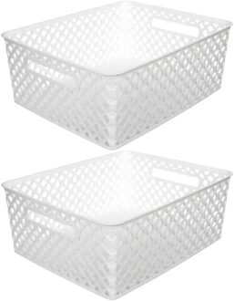 5five Opbergmand/box van kunststof - 2x - wit - 29 x 35 x 13 cm - 11 liter