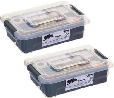 5five Opslag sorteerbox - 2x - 4 vakjes indeling - 22 x 15 x 7 cm - kunststof - opbergdoos