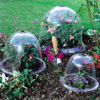 5Pcs Tuin Plastic Cloche Planten Bel Koepel Plant Cover Vorst Guard