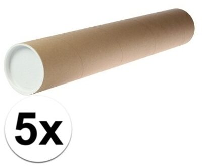 5x A1 Poster koker  68 x 10 cm van karton