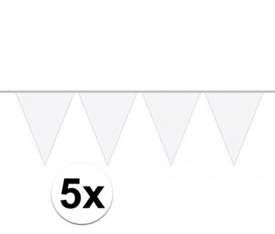 5x stuks 10 meter lange witte vlaggenlijn