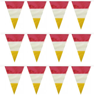5x stuks plastic vlaggenlijn rood/wit/geel carnaval 10 meters - kleuren van Den Bosch