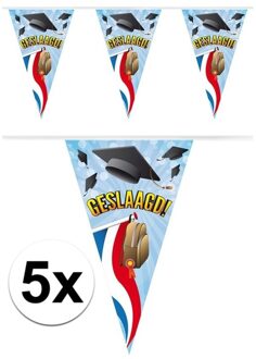 5x Vlaggenlijnen geslaagd thema feestartikelen 10 meter