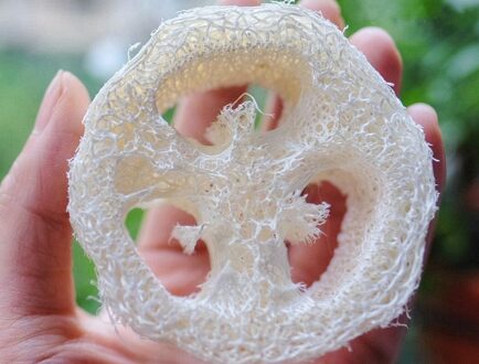 6-7 cm breed 50 stks/partij Natuurlijke Loofah Luffa Loofa Slice DIY aanpassen zeep gereedschap, cleanner, spons scrubber, facial zeephouder