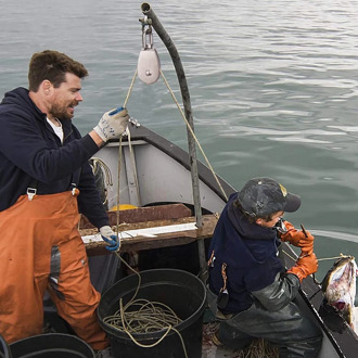 6 Pack M32 Lifting Single Pulley Roller 304 Stainless Steel Heavy Duty Single Wheel Swivel Lifting Rope Pulley Block