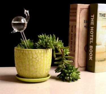 6 Soorten Glas Plant Bloemen Water Feeder Automatische Zelf Sproeisysteem Apparaten Vogel Ster Hart Plant Waterer