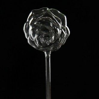 6 Soorten Glas Plant Bloemen Water Feeder Automatische Zelf Sproeisysteem Apparaten Vogel Ster Hart Plant Waterer