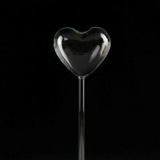 6 Soorten Glas Plant Bloemen Water Feeder Automatische Zelf Sproeisysteem Apparaten Vogel Ster Hart Plant Waterer