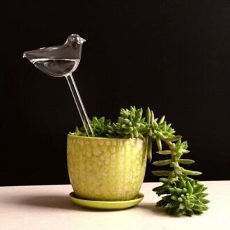 6 Soorten Glas Plant Bloemen Water Feeder Automatische Zelf Sproeisysteem Apparaten Vogel Ster Hart Plant Waterer