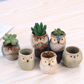 6 stks/partij Keramische Uil Pot Bloem Bloempot Vloeiende Glazuur Basis Seriële Set Succulent Cactus Plant Container Planter Bonsai Potten