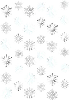 6 Stringen Decoratie Sneeuwvlokken Multikleur - Print