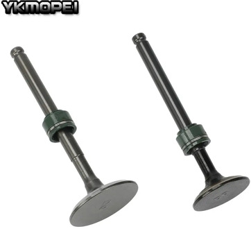 60mm Bore engine Intake exhaust valves with Oil Seal kit For YinXiang YX 150 160 150cc 160cc Engine Dirt Pit Bikes ATV Parts