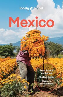 62Damrak Reisgids Mexico | Lonely Planet