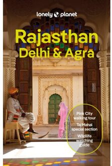 62Damrak Reisgids Rajasthan, Delhi & Agra | Lonely Planet