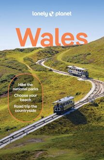 62Damrak Reisgids Wales | Lonely Planet