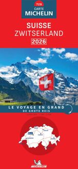62Damrak Wegenkaart - landkaart 729 Zwitserland 2026 | Michelin