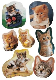 63x  Katten/poezen dieren stickers - kinderstickers - stickervellen - knutselspullen