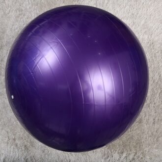 65Cm 800G Professionele Anti Burst Stabiliteit Yoga Balancing Devcie Oefening Tool Voor Fitness Gym Workouts Met Pomp Air clam blauw 1