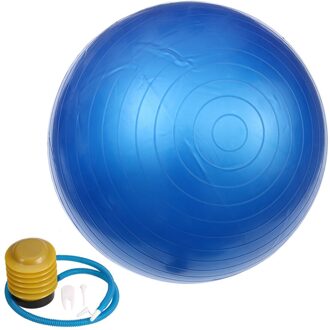 65Cm 800G Professionele Anti Burst Stabiliteit Yoga Balancing Devcie Oefening Tool Voor Fitness Gym Workouts Met Pomp Air clam blauw
