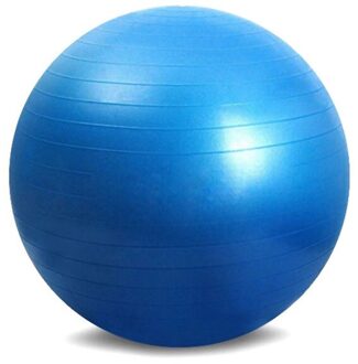 65Cm Gezondheid Fitness Yoga Bal 5 Kleur Utility Anti-Slip Pilates Balance Yoga Ballen Sport Fitball Proof Voor fitness Training blauw