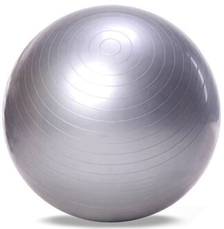 65Cm Gezondheid Fitness Yoga Bal 5 Kleur Utility Anti-Slip Pilates Balance Yoga Ballen Sport Fitball Proof Voor fitness Training zilver