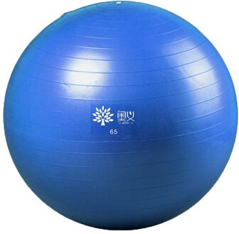 65Cm Yoga Fitness Bal Voor Balans Oefening Workout - Anti Burst Voor Thuis En Gym Fitness, Bevalling, pilates Core blauw