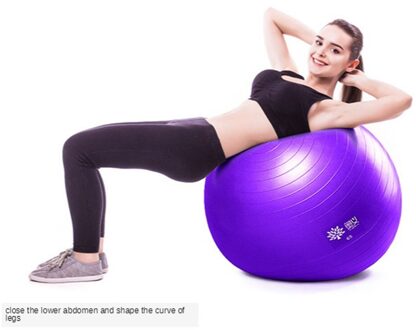 65Cm Yoga Fitness Bal Voor Balans Oefening Workout - Anti Burst Voor Thuis En Gym Fitness, Bevalling, pilates Core paars