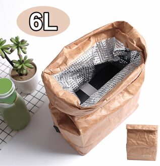 6L Kraftpapier Lunch Tassen Voor Vrouwen Mannen Omgeving Waterdichte Geïsoleerde Koeltassen Thermische Aluminium Opvouwbare Picknick Tassen