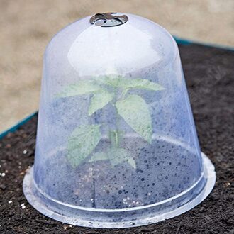 6Pcs Cloche Dome Herbruikbare Plastic Plant Bell Protector Cover Voor Warming Fruit Groenten Zaailingen Guard Freeze Bescherming