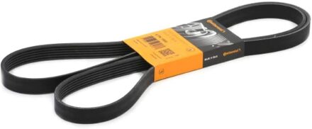 6PK1900 CONTITECH DRIVE BELT OE QUALITY