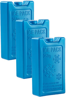 6x stuks 250 grams koelelementen 13 x 7.5 cm kobalt blauw