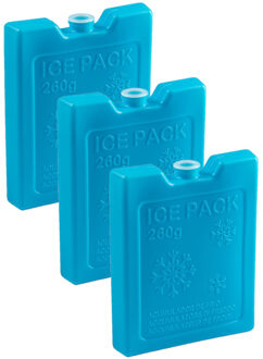 6x stuks 260 grams koelelementen 13 x 10.5 cm blauw