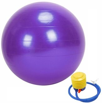 75Cm Sport Yoga Ballen Pilates Fitness Sport Balans Oefening Pilates Workouts Massage Bal Sportscholen Thuis Training Yoga Ballen L716 paars