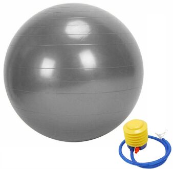 75Cm Sport Yoga Ballen Pilates Fitness Sport Balans Oefening Pilates Workouts Massage Bal Sportscholen Thuis Training Yoga Ballen L716 zilver