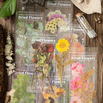 8 Different Design Flowers Plants Series Deco Stickers Set Stickers For Journal Planner Diy Crafts Diary