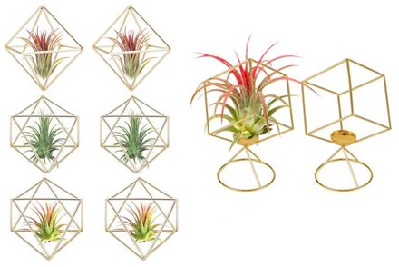 8 Pack Air Plant Houder Tillandsia Lucht Planten Stand Opknoping Containers Display Rekken Opknoping Tafelblad Himmeli Decor