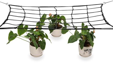 80*80 Cm Elastische Rubber Tuin Trellis Netto Tuin Netting Bloem Plant Ondersteuning Netto Ondersteuning Voor Groente Klimmen Wijnstok planten