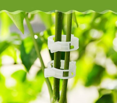 80 Pc Tomaat Clips Trellis Tuin Bloem Groente Binder Twine Plant Ondersteuning Wijnstok Tuin Kas Groenten Tuin # T1P