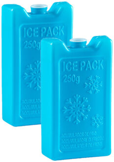 8x stuks 250 grams koelelementen 13 x 7.5 cm blauw