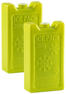 8x stuks 250 grams koelelementen 13 x 7.5 cm groen