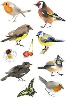90x Vogels dieren stickers Multi