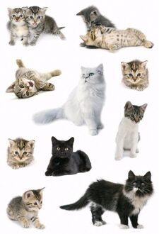 9x Stickervellen katten/poezen stickers - Dieren stickers