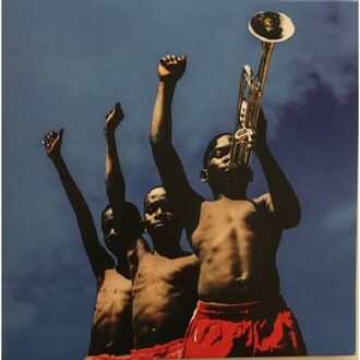 A Beautiful Revolution: Part 1 - Common