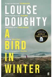 A Bird In Winter - Louise Doughty